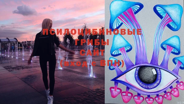 ешки Новокубанск