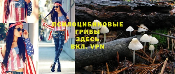 ешки Новокубанск