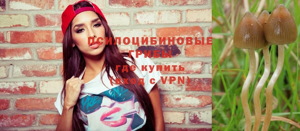не бодяженный Новозыбков