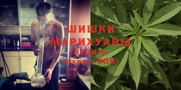 ALPHA-PVP Анжеро-Судженск
