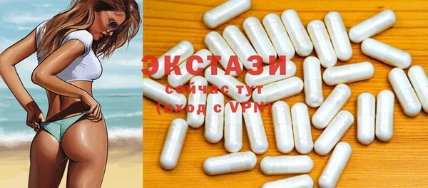 стаф Апатиты
