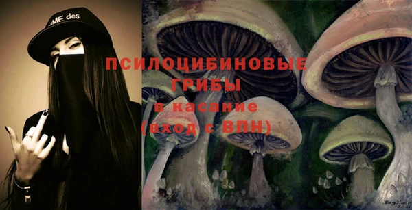 мдпв Новодвинск