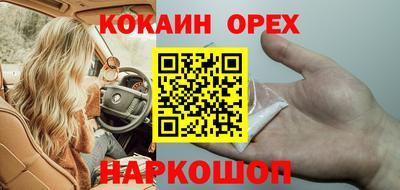 стаф Гай