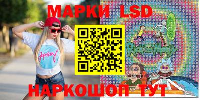 стаф Гай