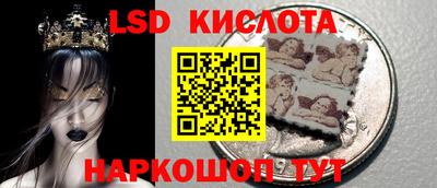 стаф Гай