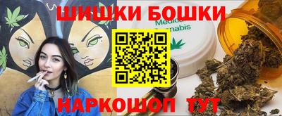 стаф Гай