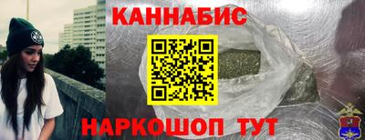 стаф Гай