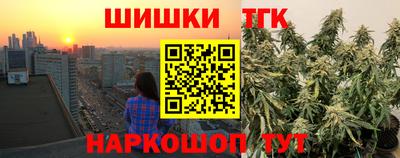 стаф Гай