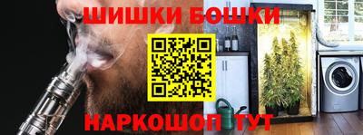 стаф Гай
