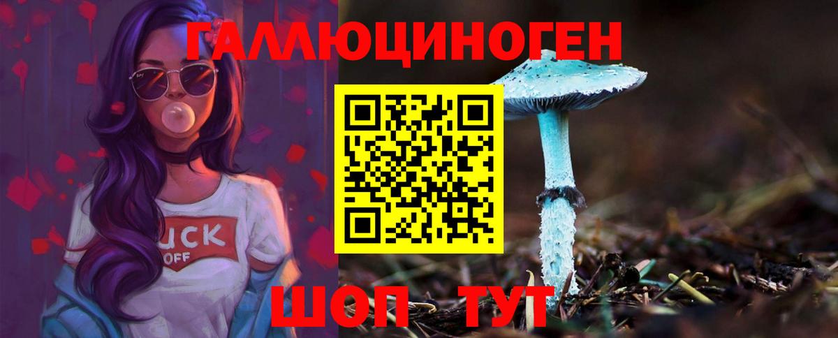 Галлюциногенные грибы Psilocybe  Вход с VPN  Торжок 